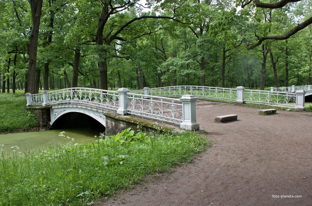 Парк пушкина санкт петербург фото Мост в парке Александровский парк (Пушкинский район) Фотопланета