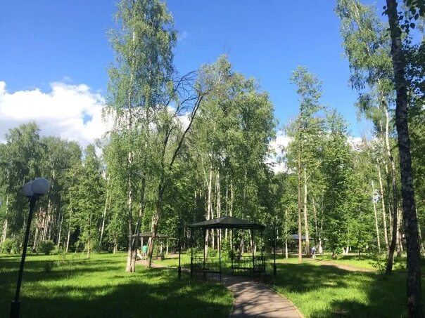 Парк пушкино фото Good afternoon everyone, who knows if there is a place to rent a gazebo in Pushk