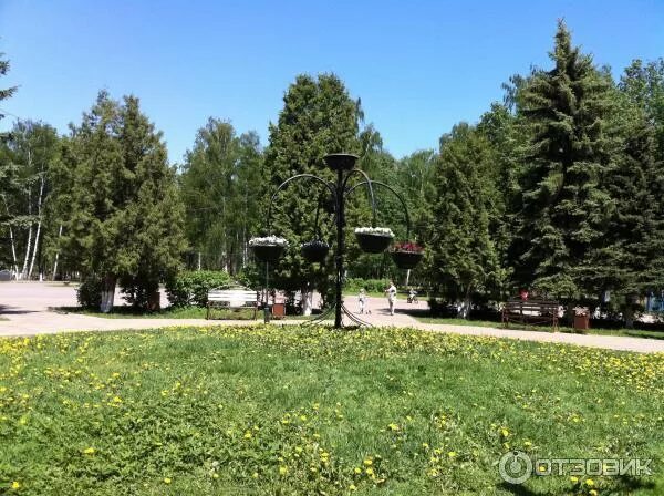 Парк пушкино московская область фото Отзыв о Центральный парк культуры и отдыха (Россия, Пушкино) Парк для детей и вз
