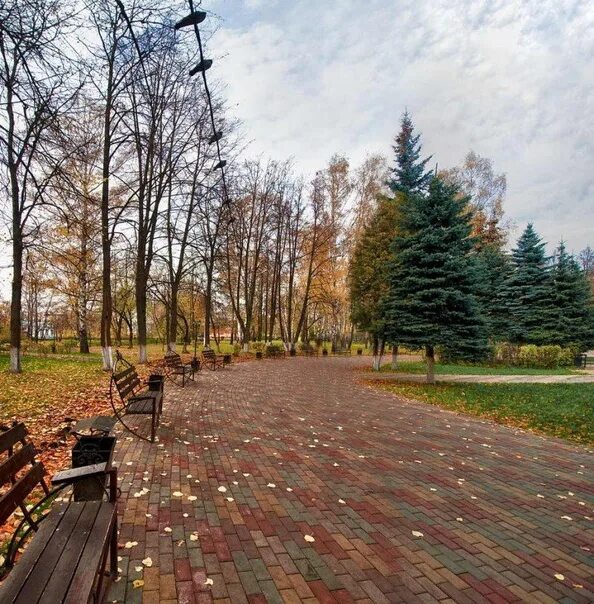 Парк пушкино московская область фото The best park for walking this autumn in Pushkino The Ministry of Culture and To