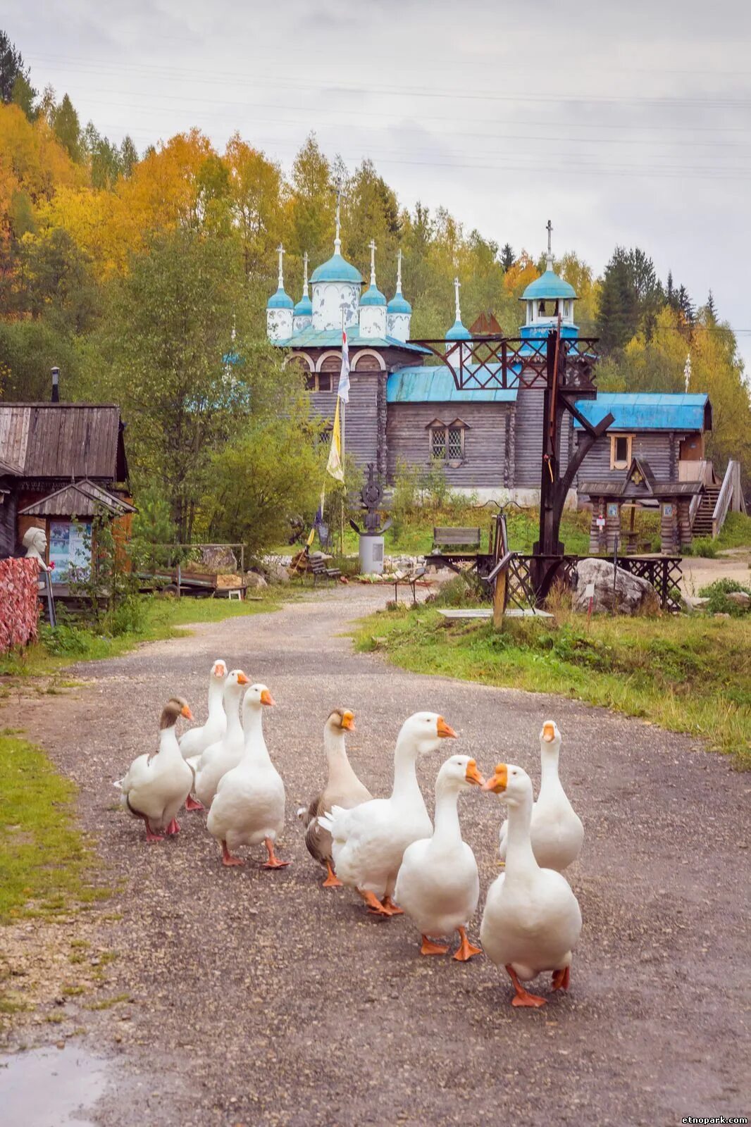 Парк реки чусовой фото Открытый для будущего - Парк истории реки Чусовой