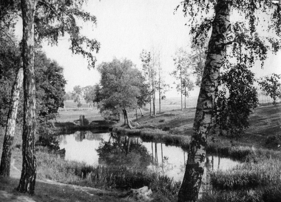 Парк рюмина роща рязань фото Моя Рязань-фотоальбомы-родословная-генеалогия-Персональный.
