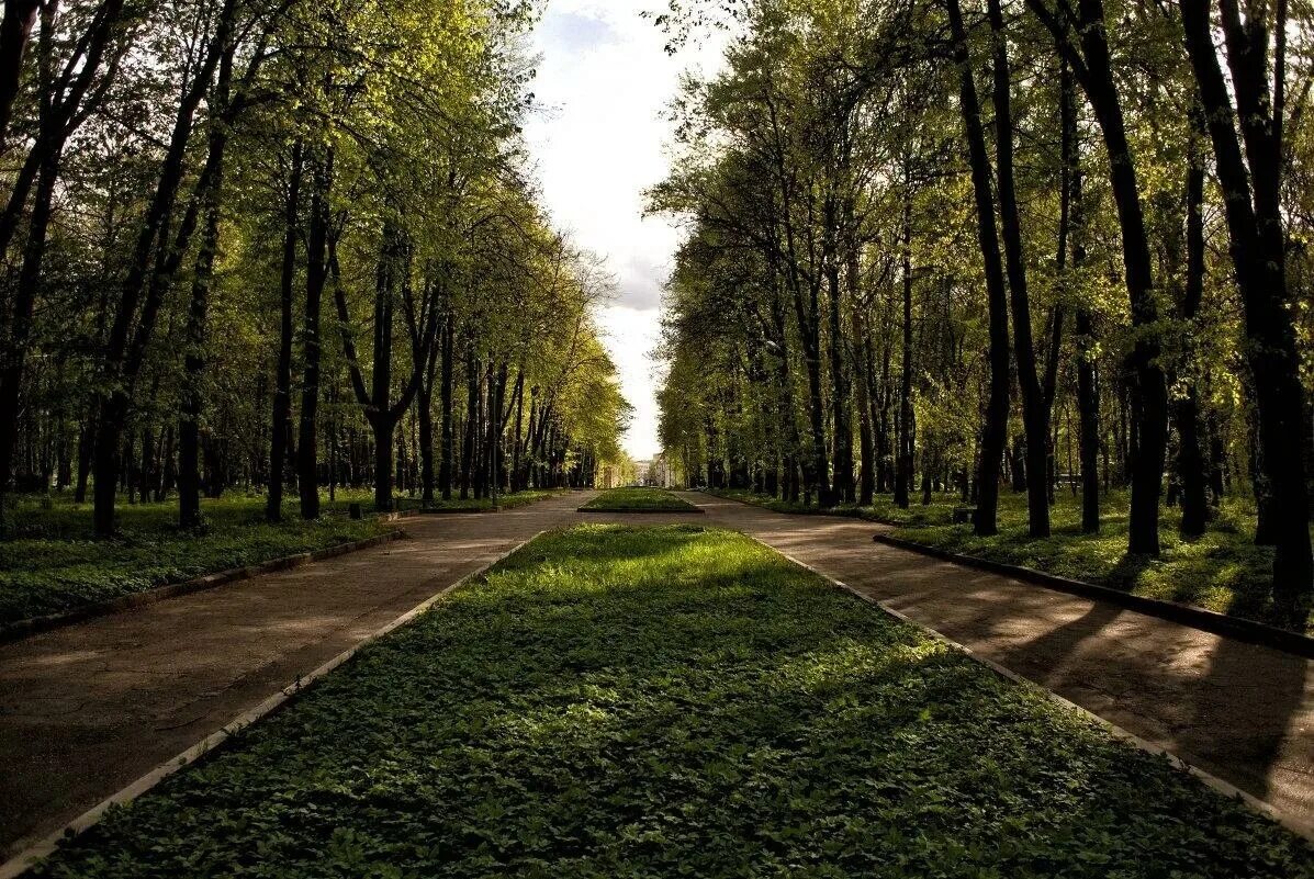 Парк рюмина роща рязань фото Рюмина роща рязань