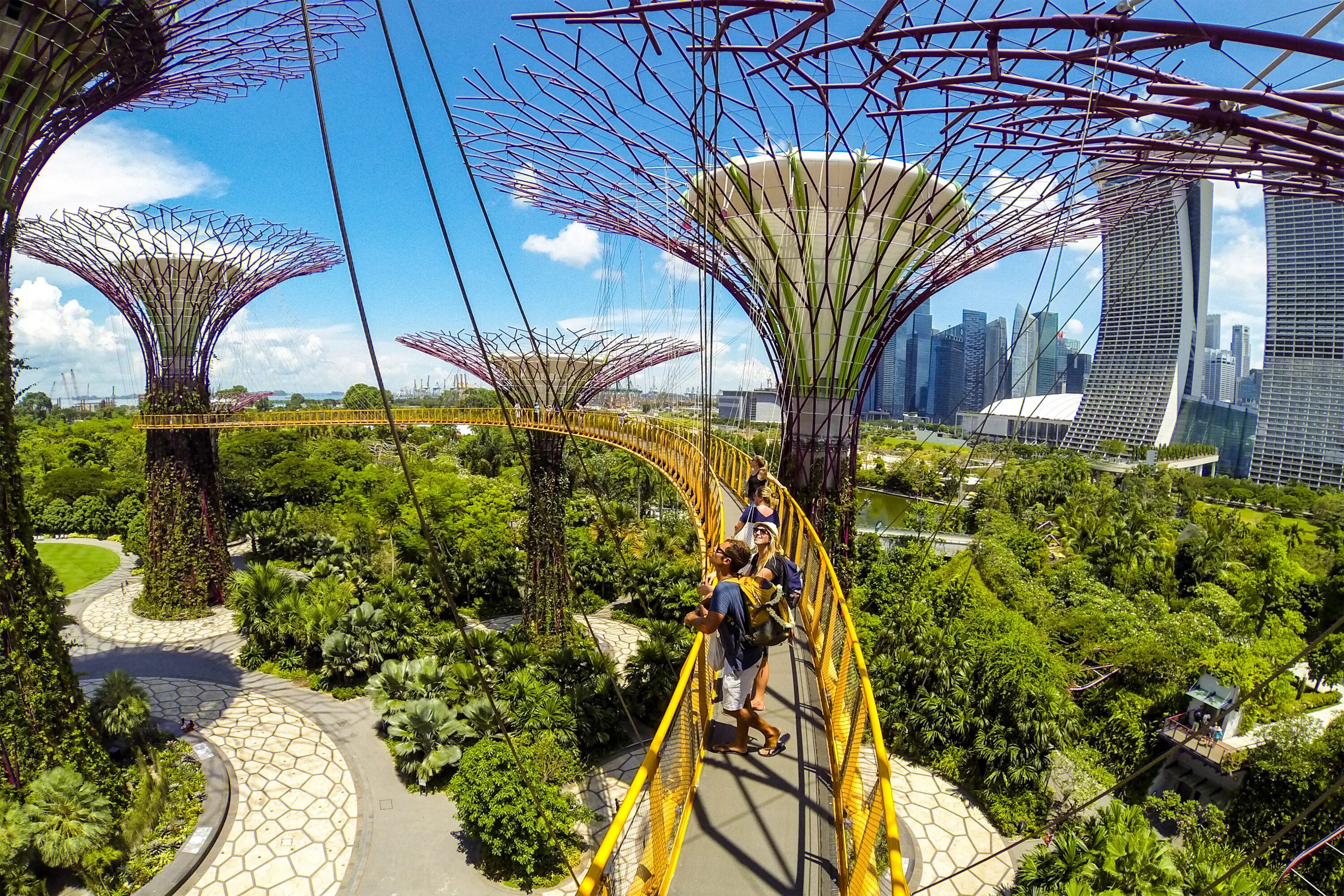 Парк сад будущего фото Singapore in 48 Hours: Ultimate guide on where to bring visiting guests