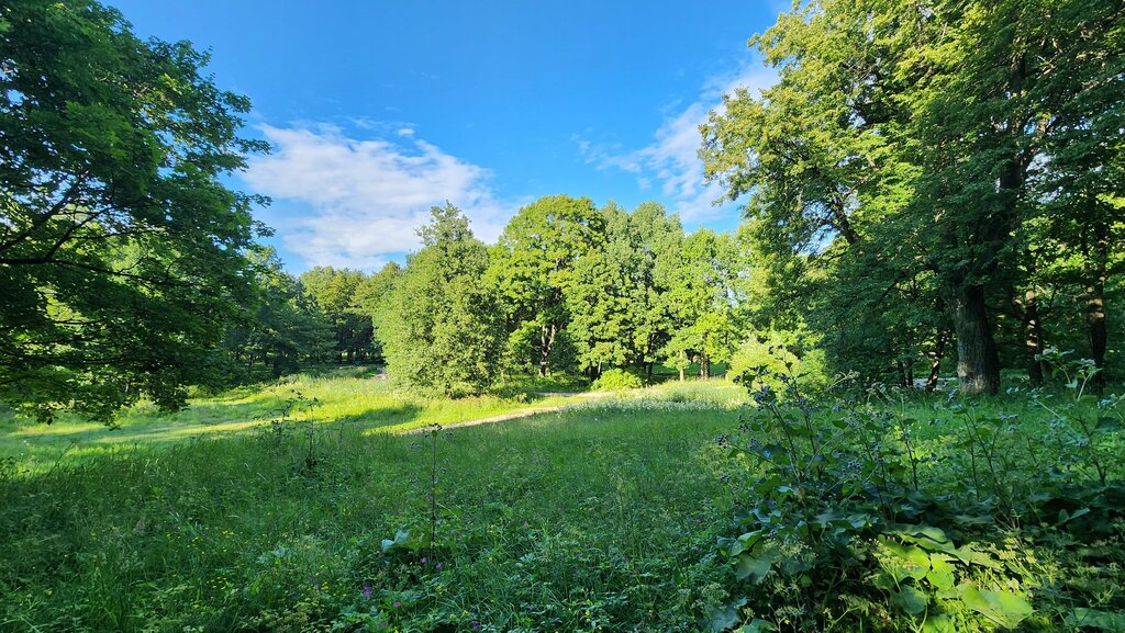 Парк санкт петербург парк новознаменка фото Permanently closed: Парк, square, Saint Petersburg, park Novoznamenka - Yandex M