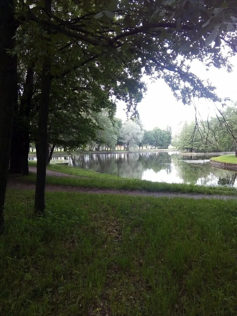 Парк санкт петербург парк новознаменка фото Панорама: Парк Новознаменка, сквер, Россия, Санкт-Петербург, парк Новознаменка -