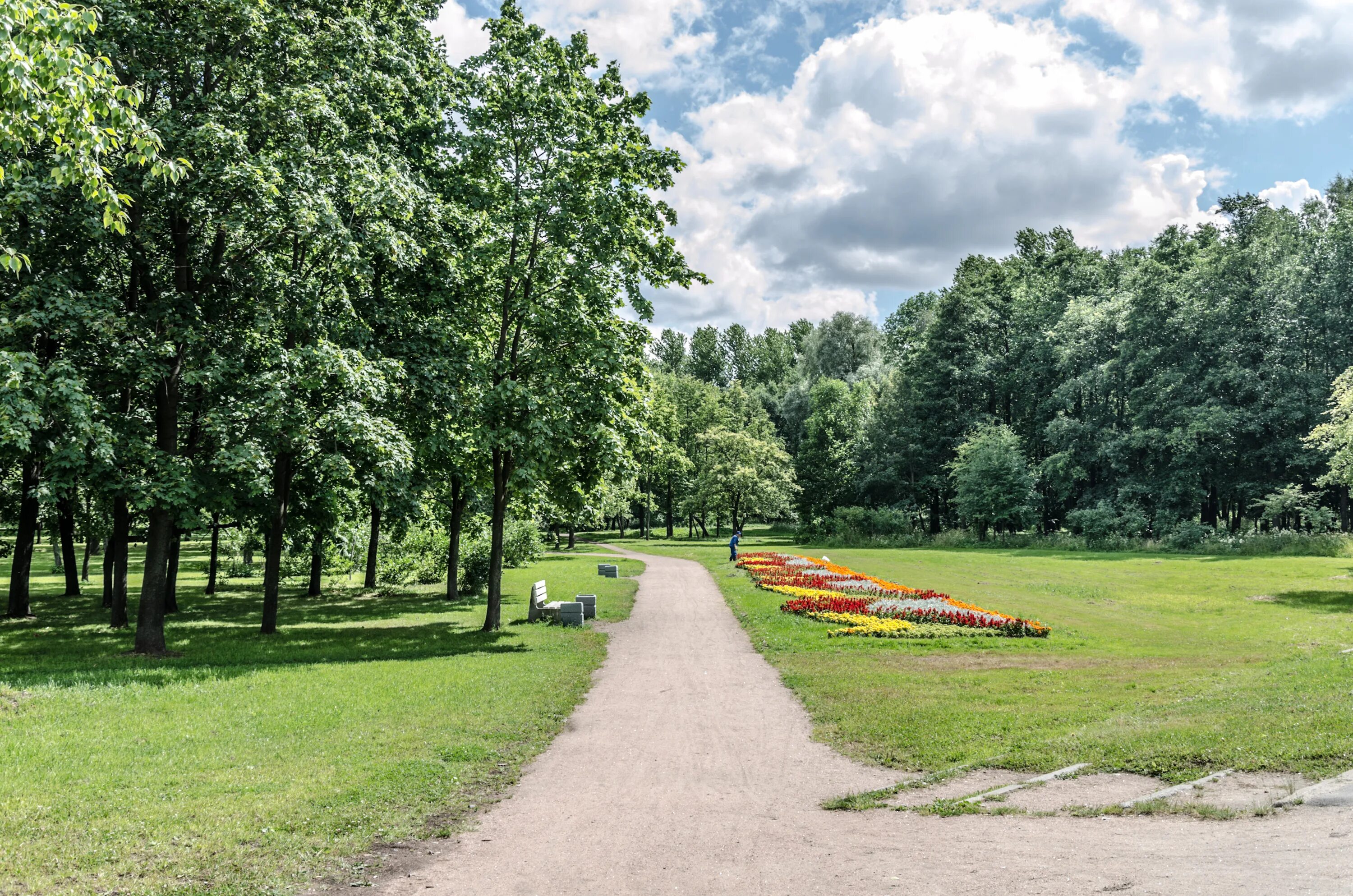 Парк санкт петербург парк новознаменка фото File:Novoznamenka park in SPB 2.jpg - Wikimedia Commons