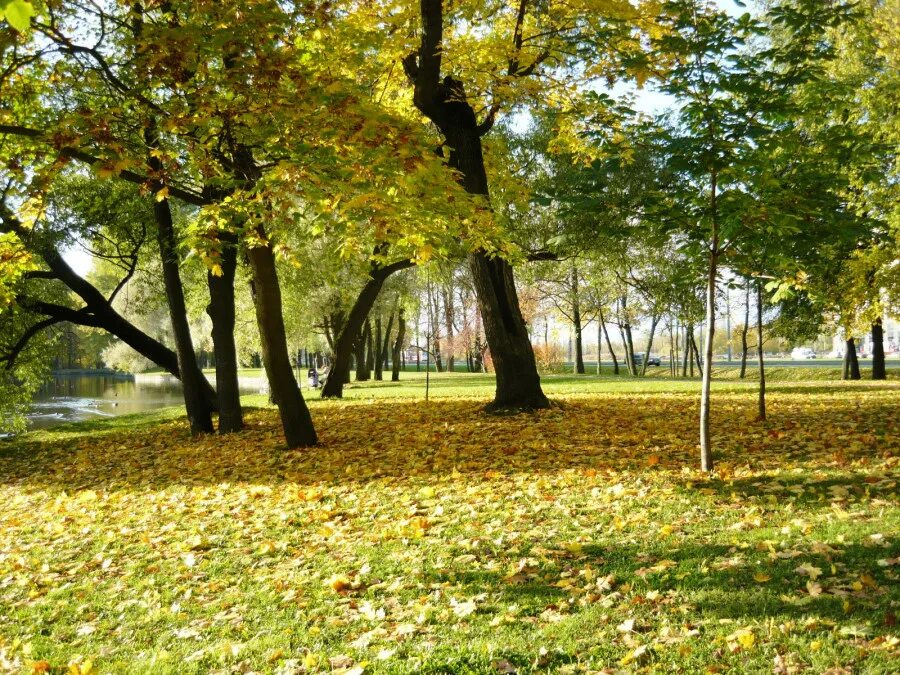 Парк санкт петербург парк новознаменка фото Итог моего осеннего марафона - В действительности всё совершенно иначе, чем на с