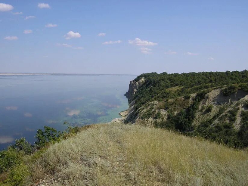 Парк щербаковский в волгоградской области фото 30 достопримечательностей Камышина 2024: фотографии и описания - Tur-Ray.Ru