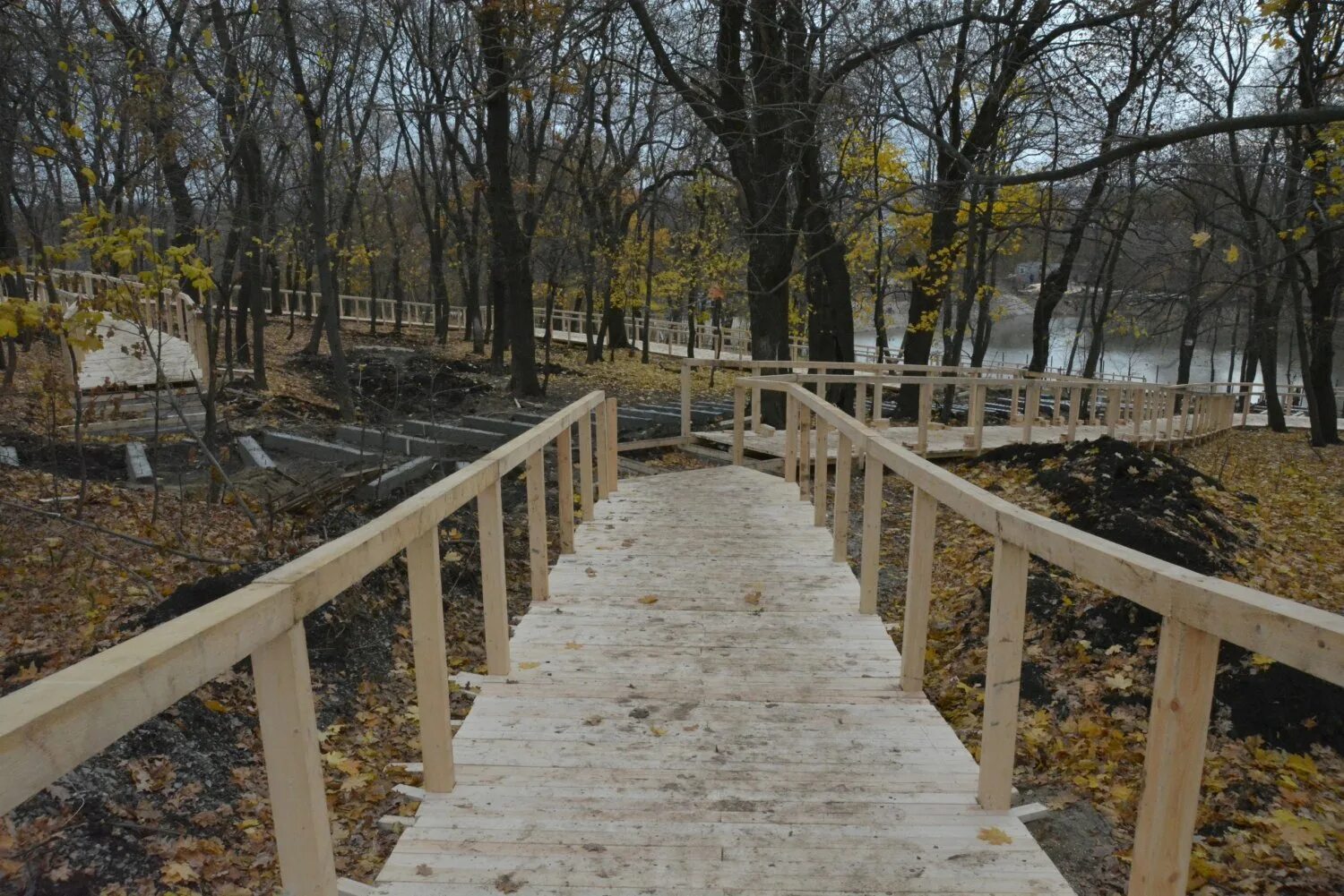Парк семхоз саратов фото Как в Москве. В новом парке Саратова можно будет ходить только по настилам и смо
