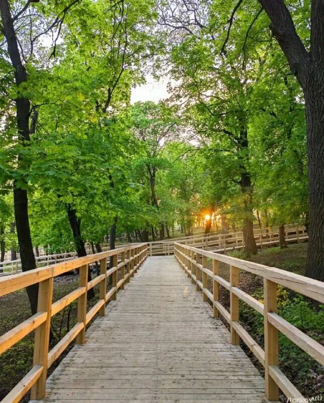 Парк семхоз саратов фото Пруд семхоз Foto-Gadanie.ru