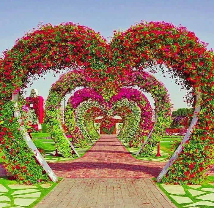Парк сердце фото Pin by esma yıldız on Heart Miracle garden, Dubai, Beautiful gardens
