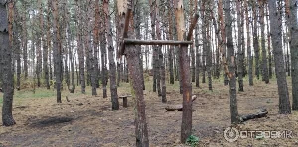 Парк северный лес воронеж фото Отзыв о Парк "Северный лес" (Россия, Воронеж) Чтоб с ребенком погулять и здоровь