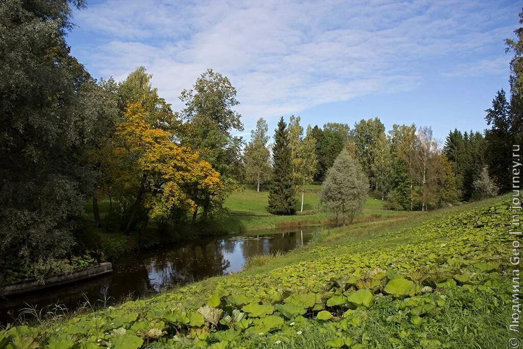 Парк шишкин лес павловская слобода фото Прогулки в парке. Павловский парк в последние выходные лета