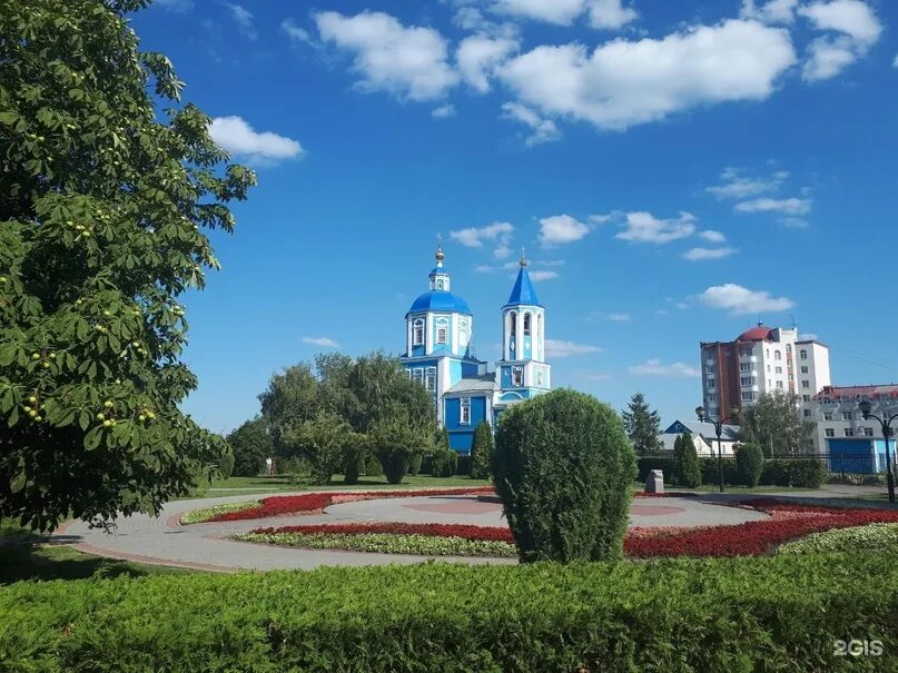 Парк сочи тамбов фото Тамбовская область - лидер по количеству благоустроенных пространств. Федерально