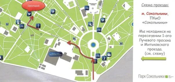 Парк сокольники схема расположения Орнитарий в Сокольниках: Где посмотреть хищных птиц и куда отнести раненую птицу