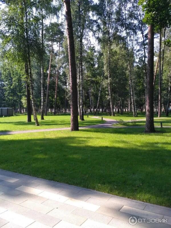 Парк солнечный балашиха фото Отзыв о Городской парк культуры и отдыха (Россия, Балашиха) Отличный парк.