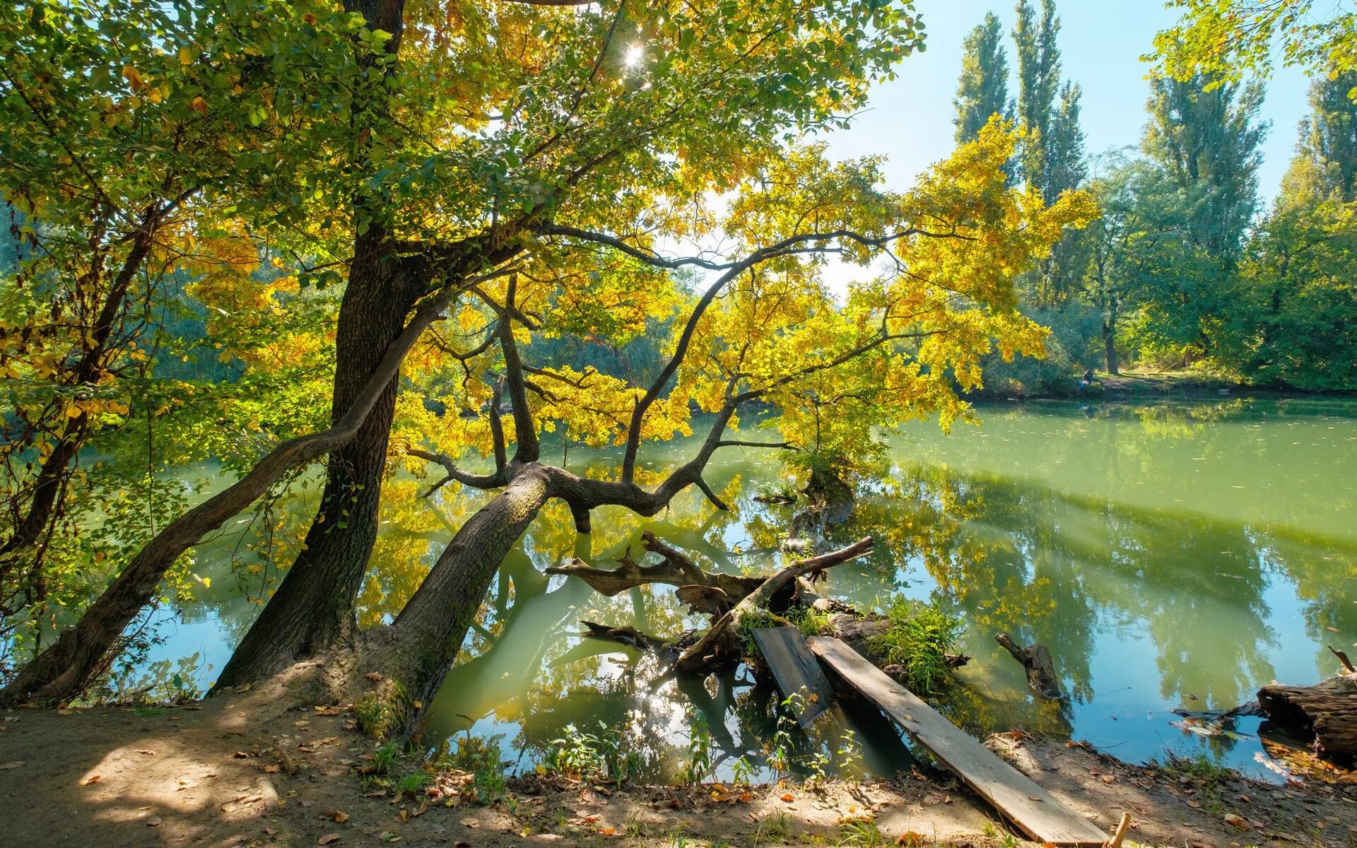 Парк солнечный остров фото Солнечный остров - Просмотр фото - Fuji Club