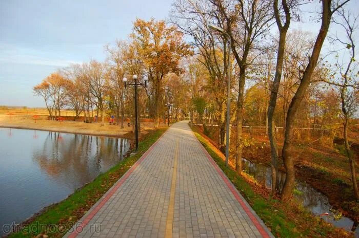 Парк солнечный саратов парк солнечный фото Парк "Солнечный"