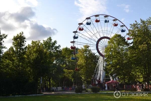 Парк соловьи брянск фото Отзыв о Центральный парк культуры и отдыха им. 1000-летия г. Брянска (Росия, Бря