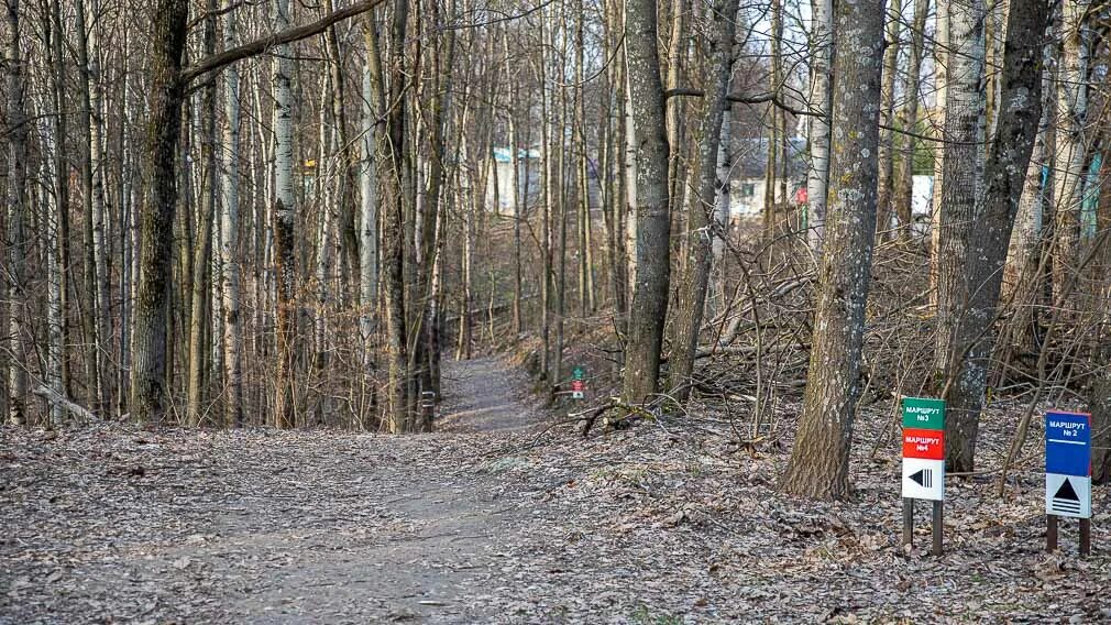 Парк соловьи брянск фото Опасна ли брянская "Тропа здоровья" в "Соловьях"? Мой Брянск