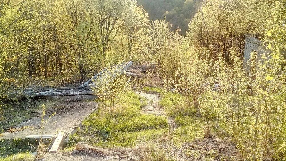 Парк соловьи брянск фото В парке Соловьи в Брянске обнаружили огромную свалку * БрянскНОВОСТИ.RU