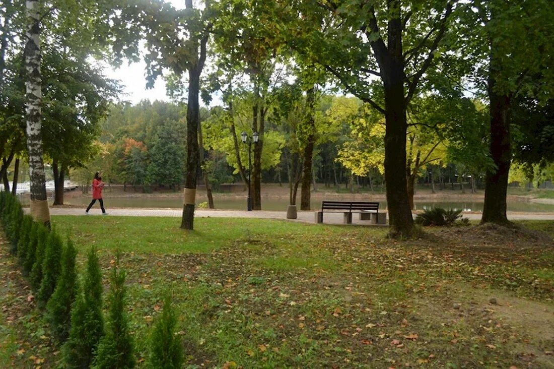 Парк соловьиная роща смоленск фото Парк соловьиная роща 50 фото Ast-Ohota.ru