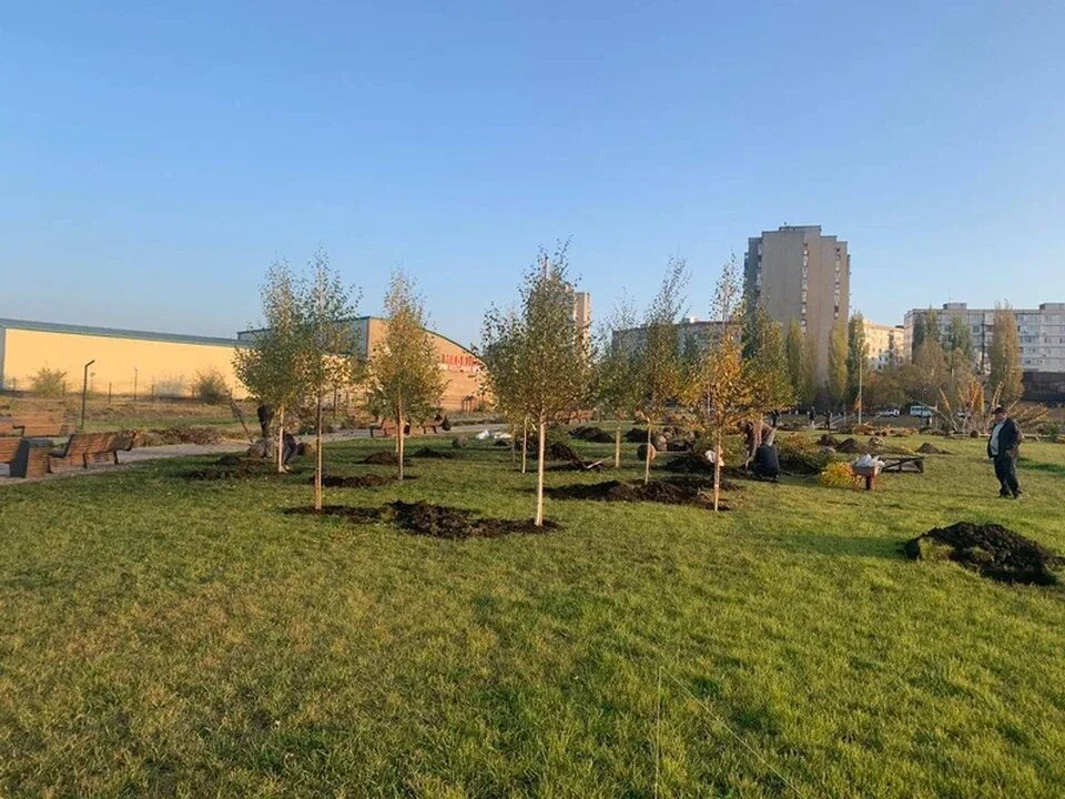 Парк старый оскол фото Уникальный природный парк появится в Старом Осколе - KP.RU