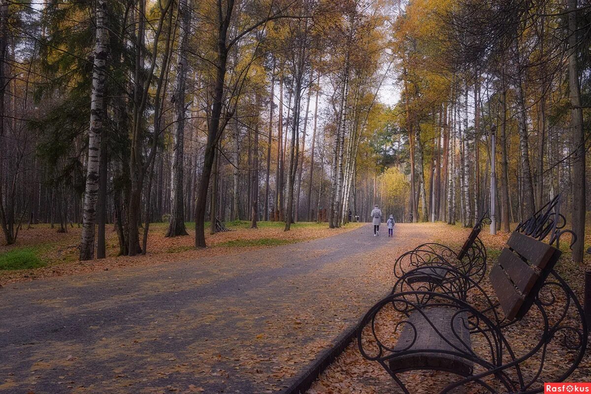 Парк степанова иваново история и фото Фото: *********. Пейзажный фотограф Ковалев Геннадий. Пастораль. Фотосайт Расфок