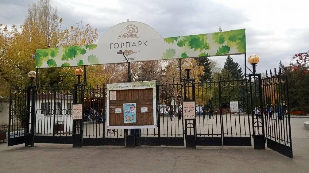 Парк свободы саратов парк свободы фото Администрация Горпарка официально обратилась к саратовцам после падения дерева н
