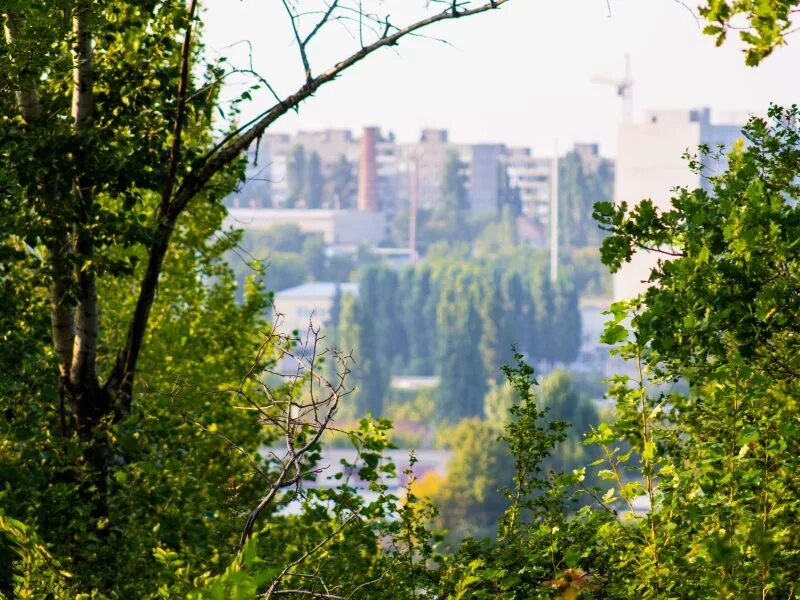 Парк свободы саратов парк свободы фото Парк свободы саратов - Фото
