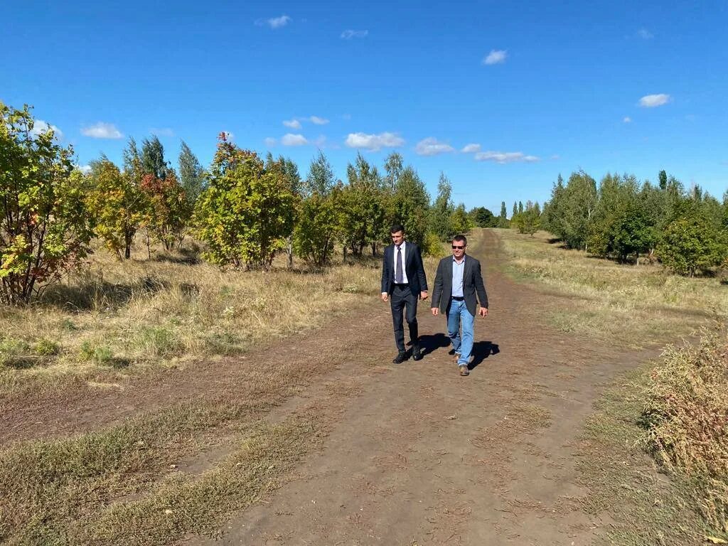 Парк свободы саратов парк свободы фото И.о.главы администрации Волжского района совместно с коллегами осмотрел территор