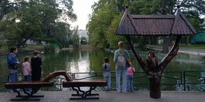 Парк свободы саратов парк свободы фото Мэрия Саратова ищет концессионера для пруда Бахчев и парка Свободы: Новости