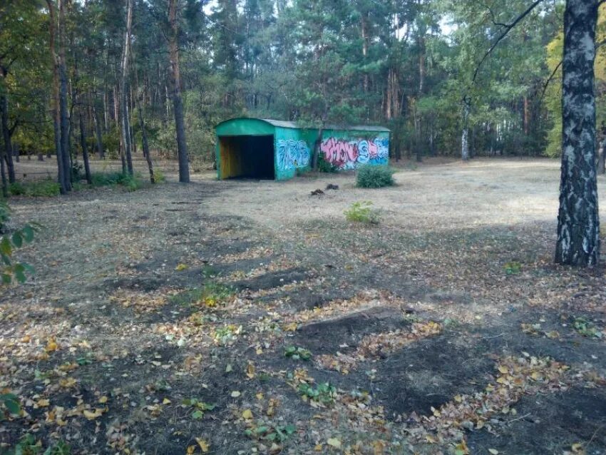 Парк танаис воронеж фото Парк превращается в помойку", - воронежцы об увядшем "Танаис