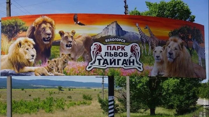 Парк тайган крым леокадия фото Госкомветеринарии Крыма информирует обо всех выявленных нарушениях в деятельност