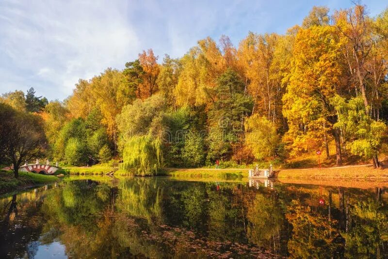 Парк царицыно осенью фото Autumn Park. Beautiful Autumn Landscape with Red Trees by the Lake Stock Photo -