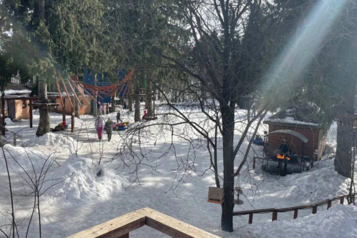 Парк тишино в ижевске фото В Ижевске приступят к благоустройству парков "Тишино" и "Березовая роща" - МК Иж