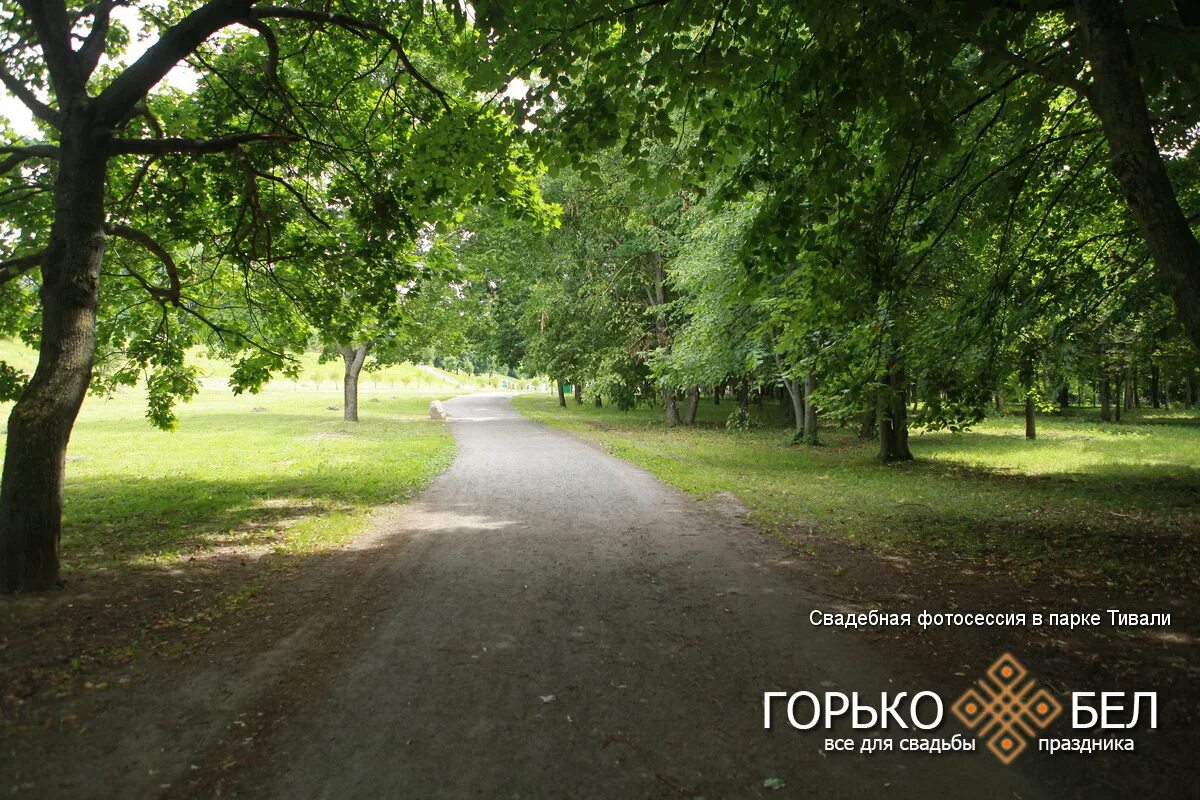 Парк тивали минск парк тивали фото Свадебная фотосессия в парке Тивали