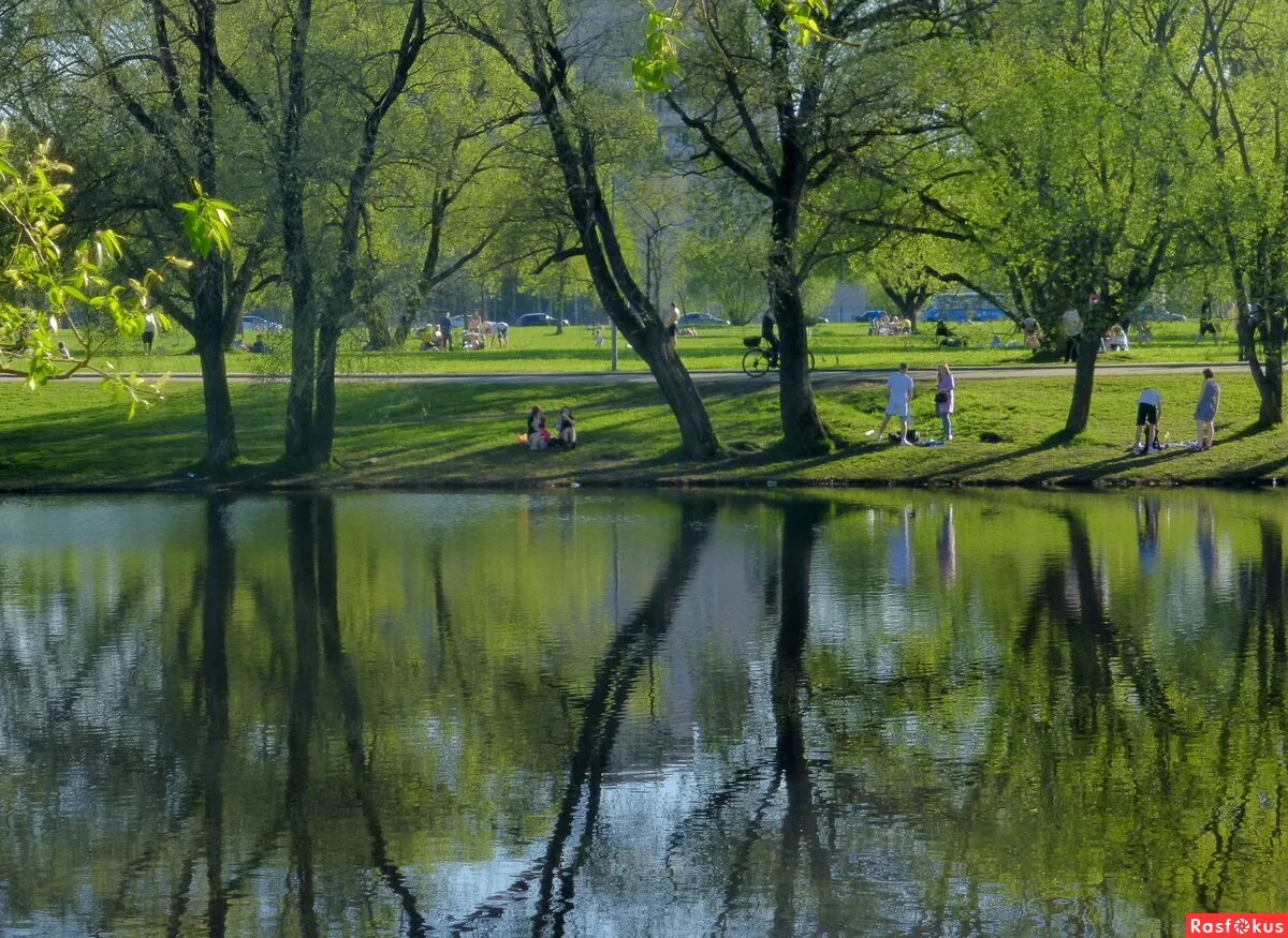 Парк у воды отражение фото Фото: Весенняя зарисовка. Фотолюбитель Елена Суханова. Другое. Фотосайт Расфокус