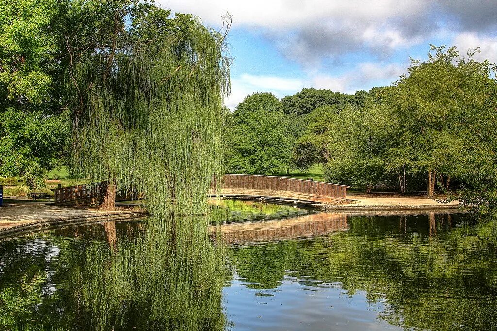 Парк у воды отражение фото Public Parks A weeping willow hugs the bridge and falls in. Flickr