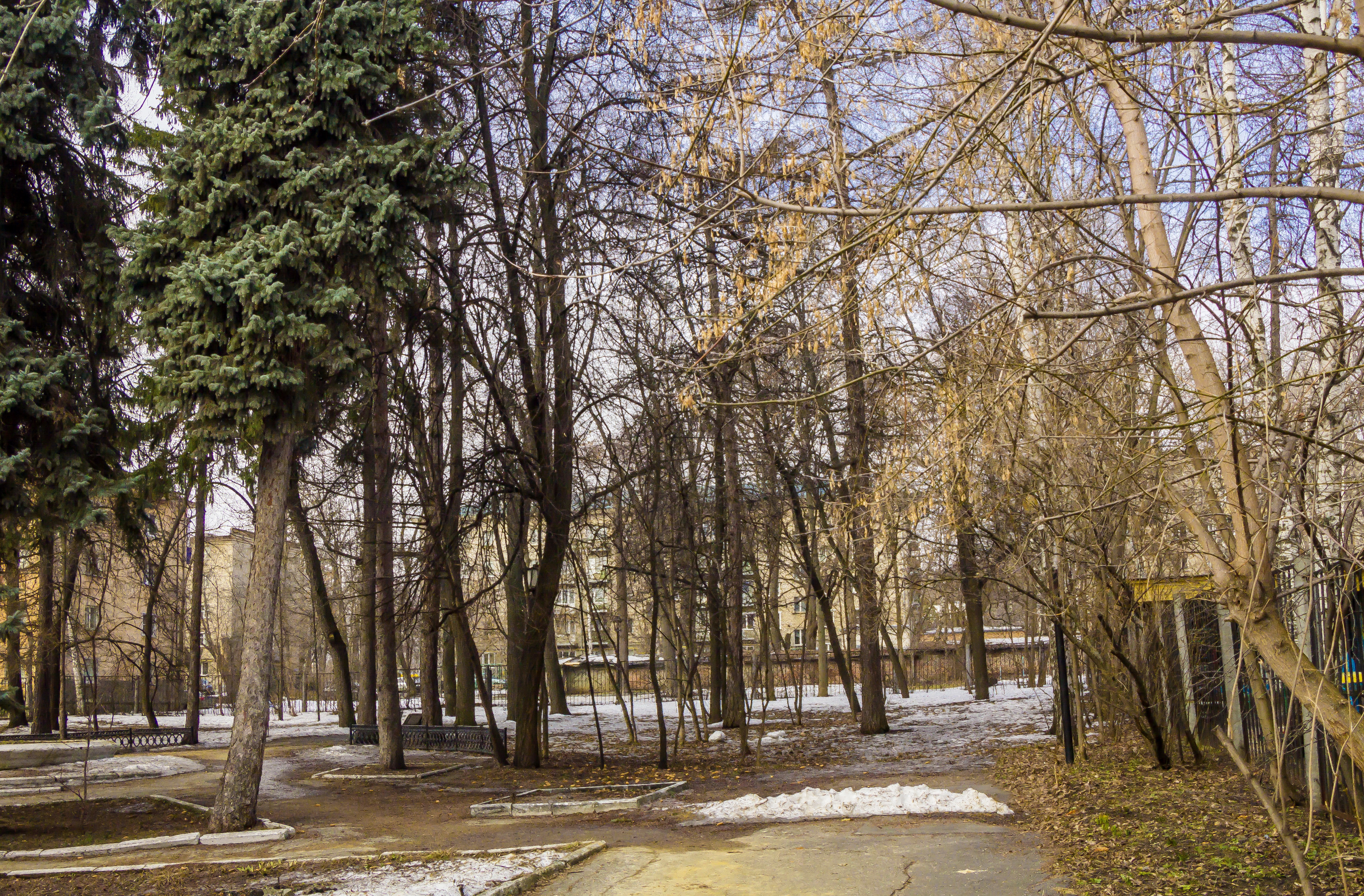 Парк ул гагарина 45а липецк фото File:Весна в парке, ул.Куйбышева 45 а.jpg - Wikimedia Commons