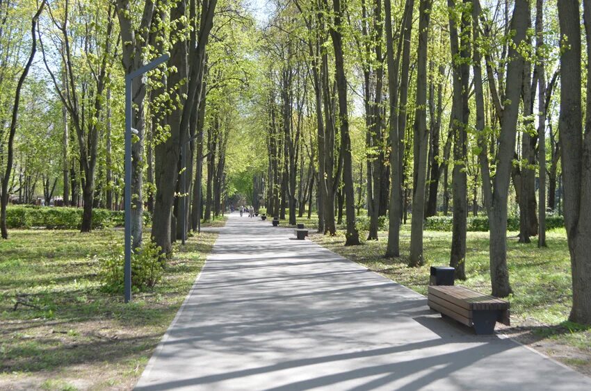 Парк ул ленина 31 фото Прогулки по паркам-5: "Быханов сад" - царство белок и людей