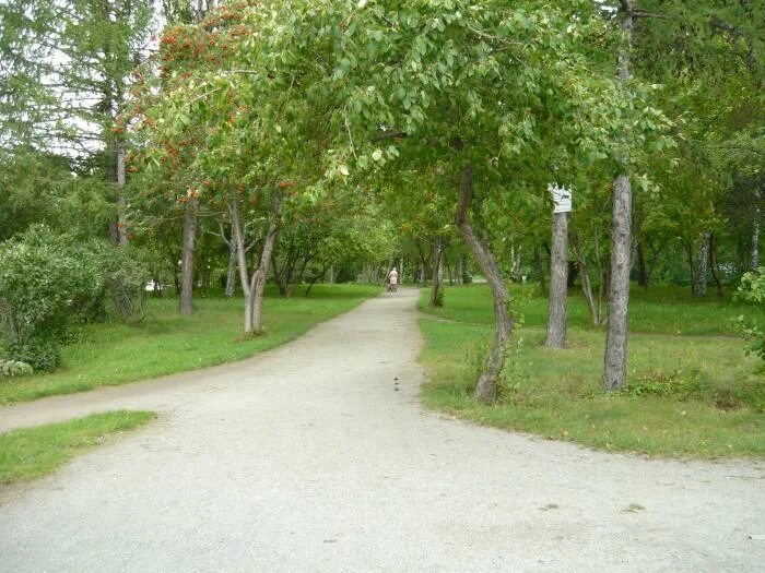 Парк ургупс екатеринбург фото Парк УрГУПС - Екатеринбург