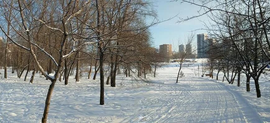 Парк ургупс екатеринбург фото Парк УрГУПС - объект повышенного интереса орнитологов - Новости - Администрация 