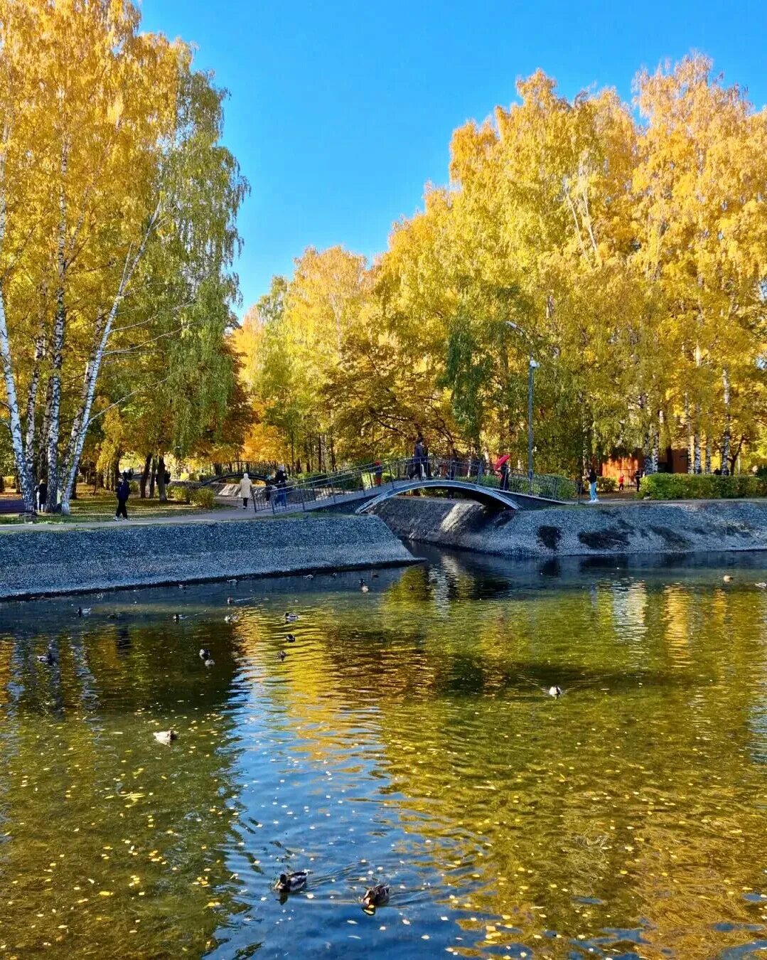 Парк урицкого казань фото Продуманная экономия Дзен