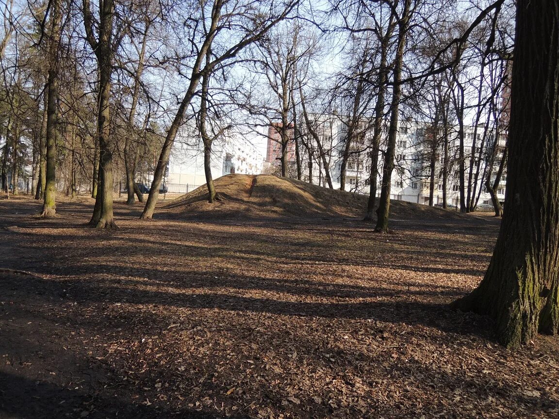 Парк усадьбы троицкое фото В фабричном парке Троицк главарх Тетеркин хочет построить кафе и дом охраны? - Д