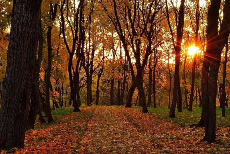 Парк усадьбы яновских калуга фото Парк усадьбы "Апалиха" Автор фото: Дмитрий Поликанин 2023 Пенза. Городские зарис