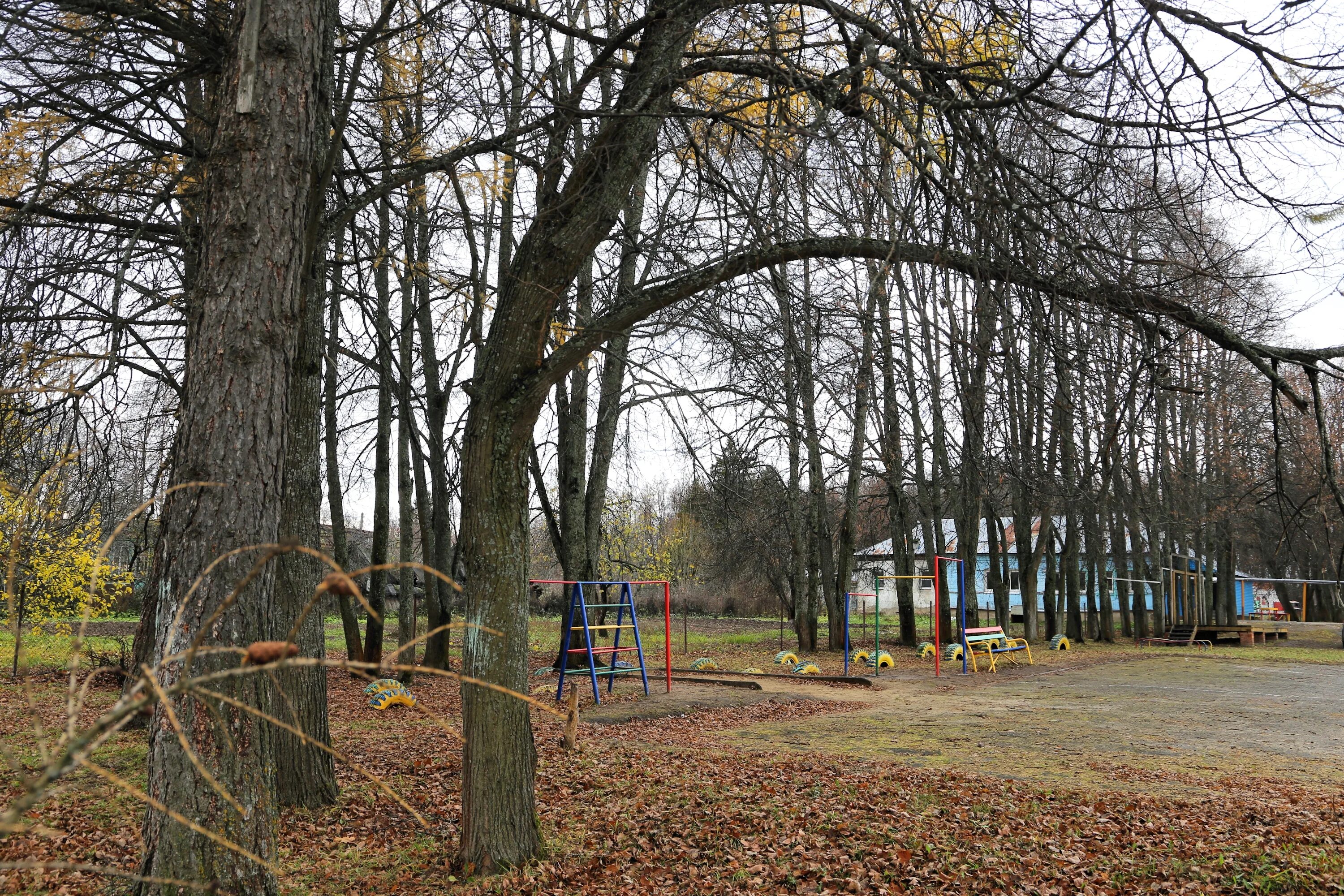Парк усадьбы яновских калуга фото Файл:Ратислово, парк усадьбы.jpg - Путеводитель Викигид Wikivoyage