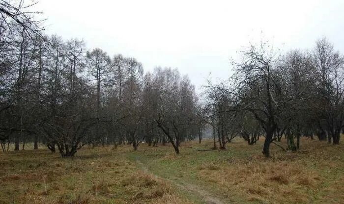 Парк усадьбы яновских калуга фото Парк усадьбы Яновских - Калуга