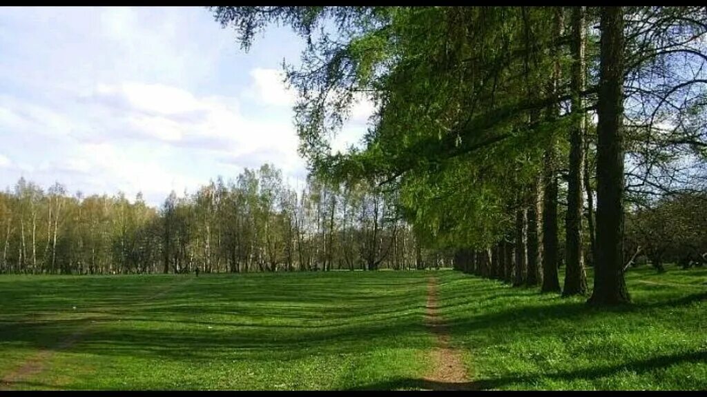 Парк усадьбы яновских калуга фото Парк Усадьбы Яновских, urban forest, Kaluga, park Usadby Yanovskikh - Yandex Map